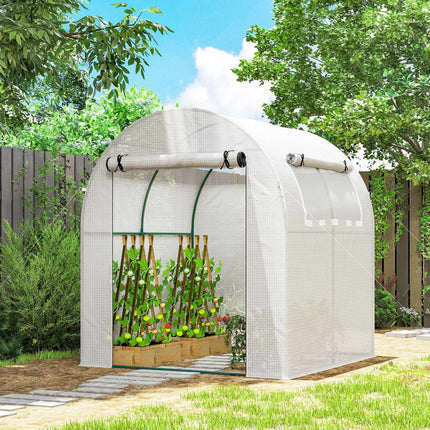 Portable Greenhouse with Steel Frame, Plastic Cover, 6x6 ft