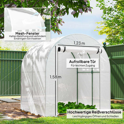 Portable Greenhouse with Steel Frame, Plastic Cover, 6x6 ft