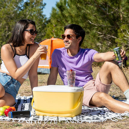 Glacière rigide portable Lilty InnovaGoods 15 L