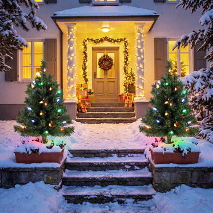 Pre-Lit Outdoor Christmas Trees 60 cm Set of 2, Multicolour LEDs, IP44