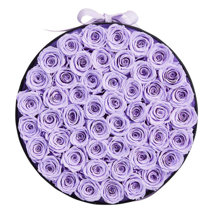 Preserved Roses, 50 in Round Box, Lavender Purple