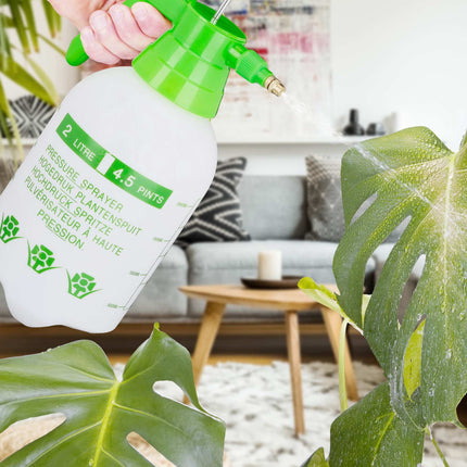Drucksprüher 2 Liter grün