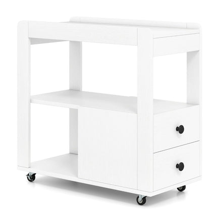Printer Stand with Wheels, 2 Drawers, and Shelves
