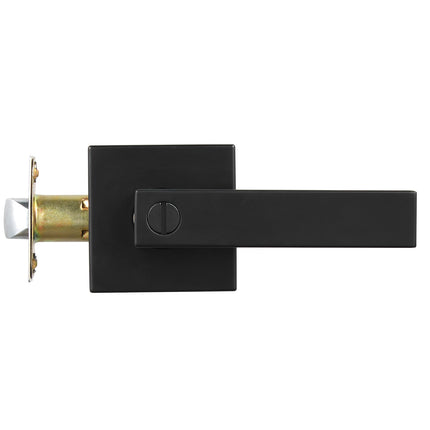 Privacy Door Lever Handle, Matte Black, Reversible Keyless