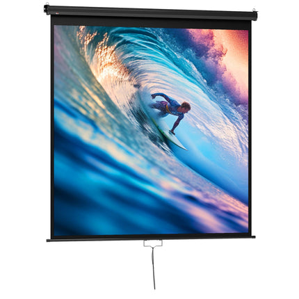 Projector Screen 99 Inch 1:1, 178x178 cm, 4K