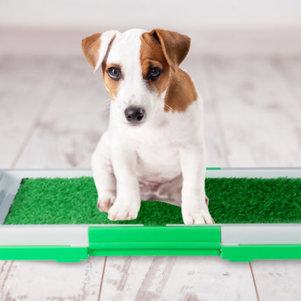 Welpen-Katzentoilette mit Gras – leicht zu reinigende Hundetoilette
