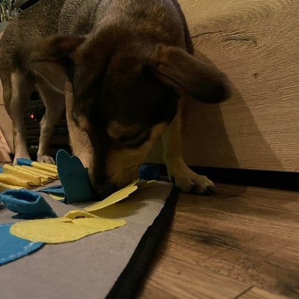 Purlov 23066 dog sniffing mat