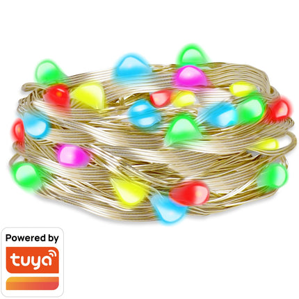 RGB-Lichtschleife mit Fernbedienung und WiFi Tuya IP65 5 m