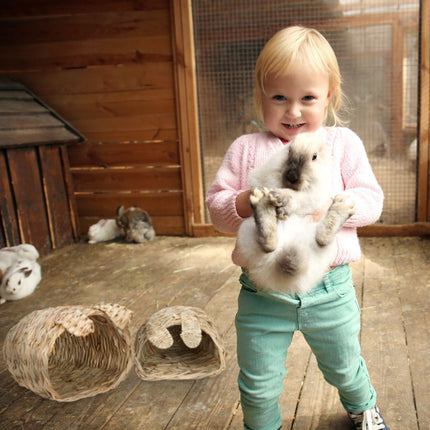 Rabbit house Set of 2 with toys