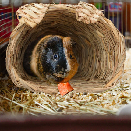 Rabbit house Set of 2 with toys