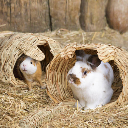 Rabbit house Set of 2 with toys