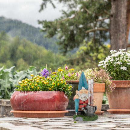 Nain de jardin pluviomètre