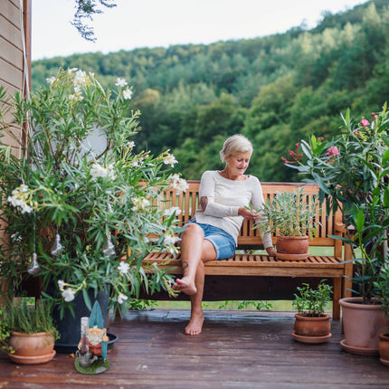 Nain de jardin pluviomètre