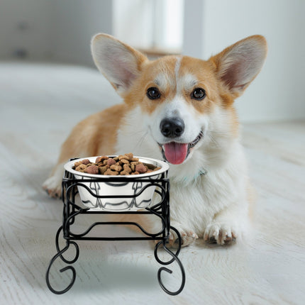 Raised Dog Bowl Stand, 700ml Stainless Steel
