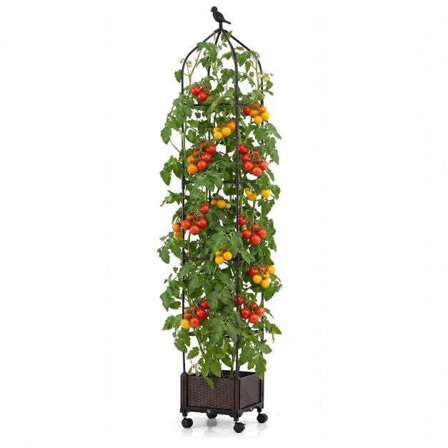 Erhöhtes Gartenbeet mit Obelisken-Rankhilfe, selbstbewässernd