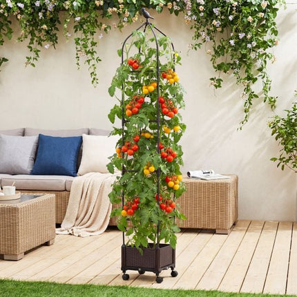 Erhöhtes Gartenbeet mit Obelisken-Rankhilfe, selbstbewässernd