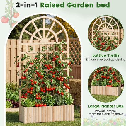 Raised Garden Bed With Trellis, 71 in Fir Wood Planter