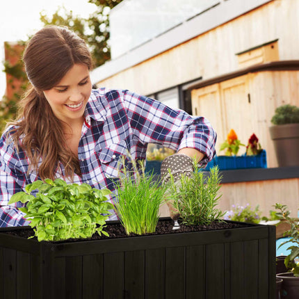 Raised bed of spruce