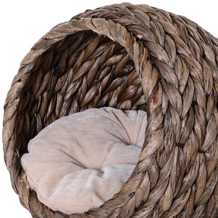 Panier pour chat en rotin, niche douillette avec coussin, panier pour animal en jacinthe d'eau, marron foncé, 42 x 33 x 52 cm