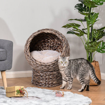 Panier pour chat en rotin, niche douillette avec coussin, panier pour animal en jacinthe d'eau, marron foncé, 42 x 33 x 52 cm