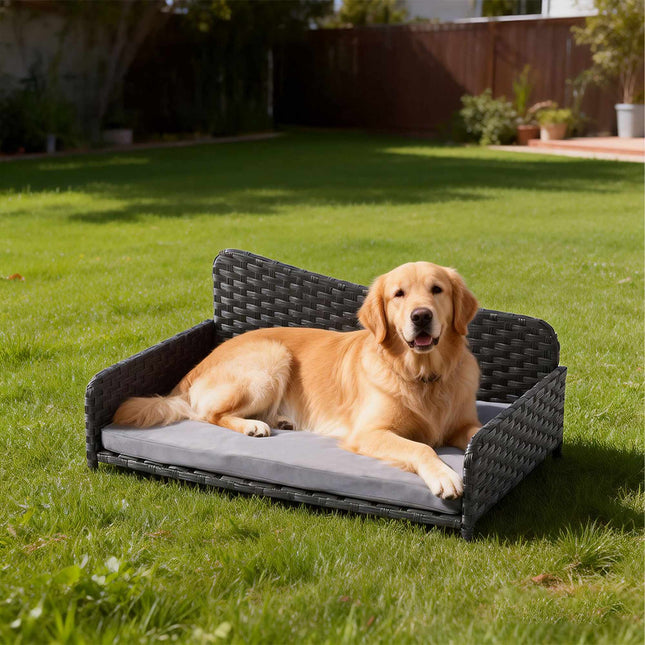 Rattan-Hundebett mit Kissen – für drinnen und draußen