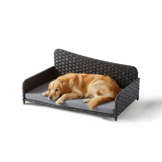 Rattan-Hundebett mit Kissen – für drinnen und draußen