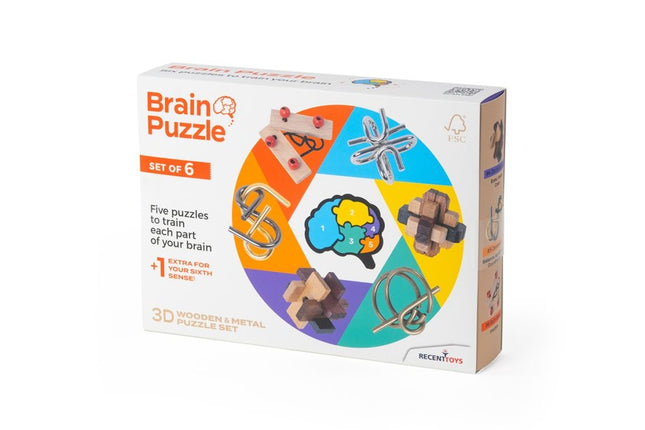 Recent Toys Denkspiel-Set