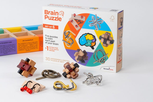 Recent Toys Denkspiel-Set