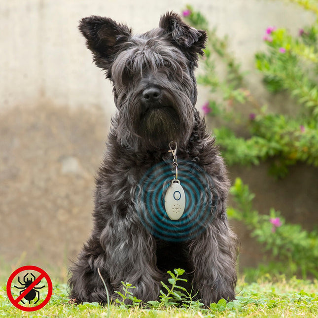 Dobíjecí ultrazvukový odpuzovač parazitů pro mazlíčky PetRep InnovaGoods