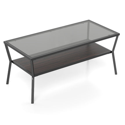 Rectangular Glass Coffee Table with Metal Frame, 2-Tier Storage