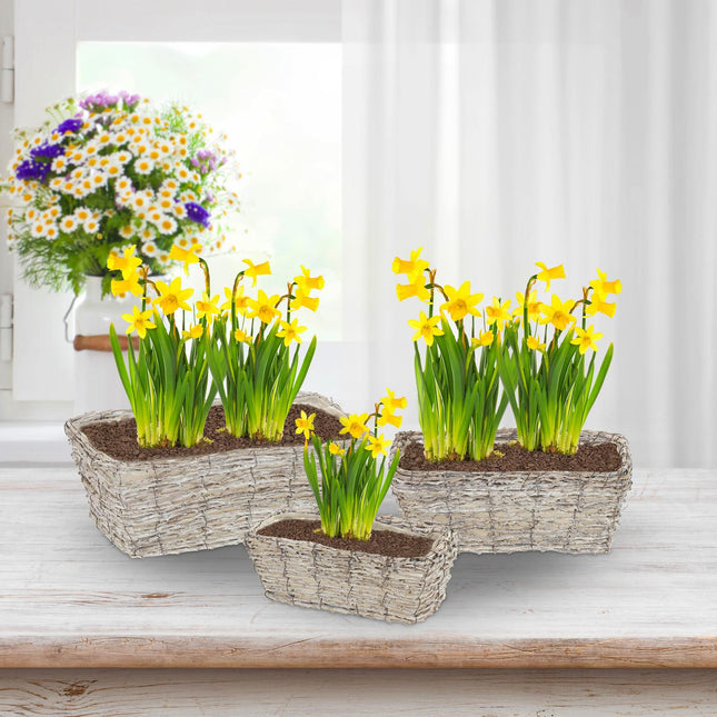 Rechteckiger Blumentopf - 3er-Set