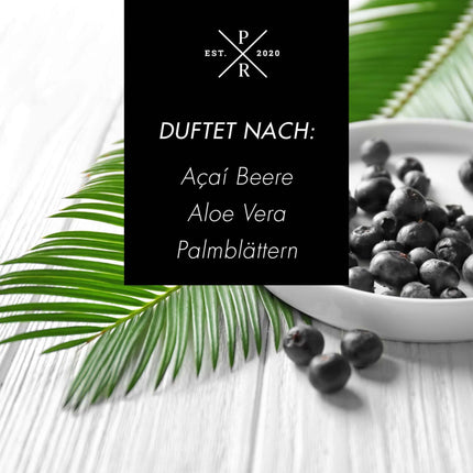 Reed Diffuser 100ml Glas – Langanhaltender Duft