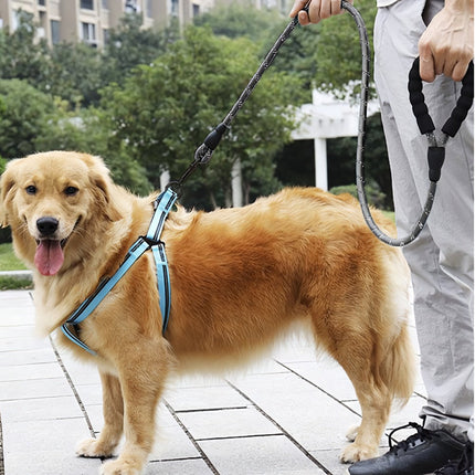 Reflective training leash 5m Purlov 21655