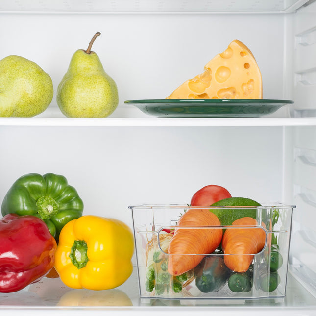 Refrigerator storage with handle