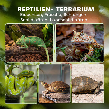 Reptilien-Glast terrarium 48L, Frontbelüftung, 50x30x35 cm
