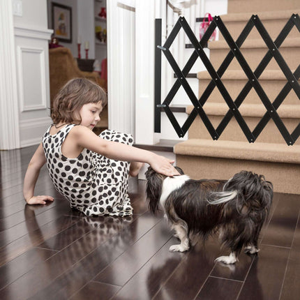 Retractable dog grid Black