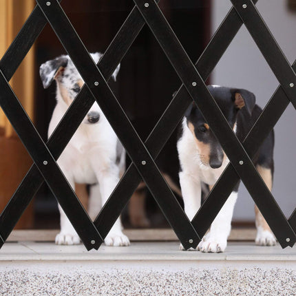 Retractable dog grid Black
