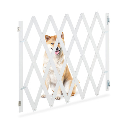 Rail rétractable pour chien en blanc