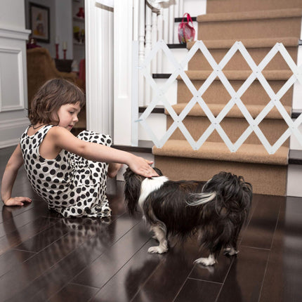 Rail rétractable pour chien en blanc