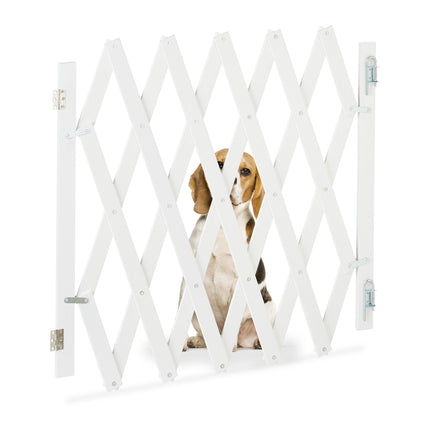 Rail rétractable pour chien en blanc