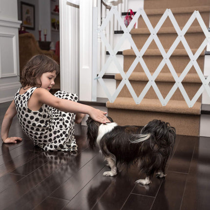 Rail rétractable pour chien en blanc