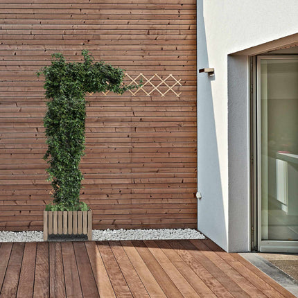 Retractable trellis in wood, set of 3