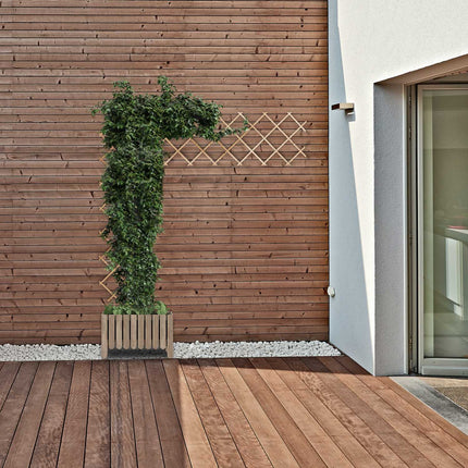 Ausziehbares Spalier aus Holz, 3er-Set