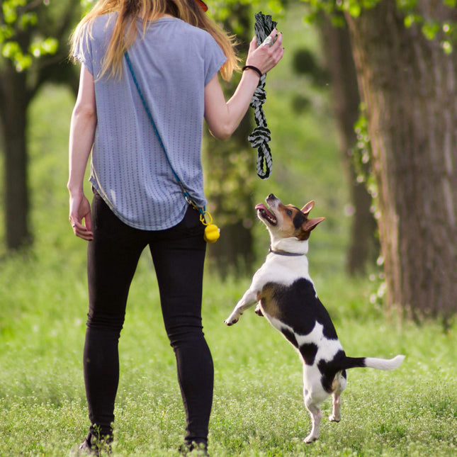 Seil für Hundespielzeug - 2 Stück
