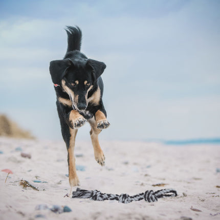 Seil für Hundespielzeug - 2 Stück