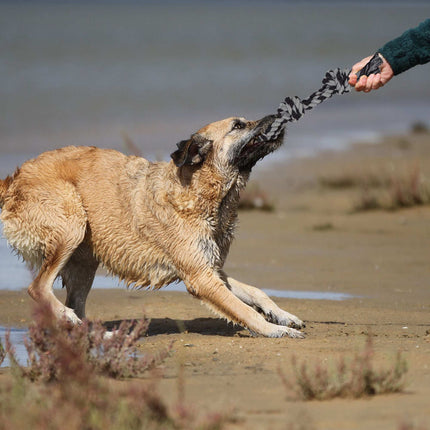 Seil für Hundespielzeug - 2 Stück