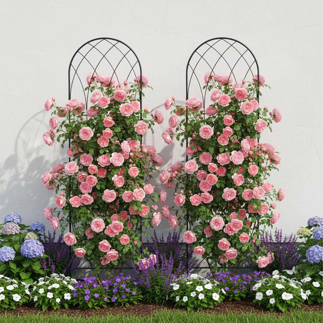 Rose Trellis Set Of 2, Metal Arched With Ground Spikes
