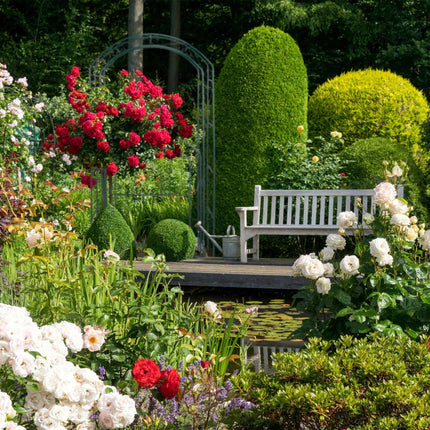 Rose arch with gate