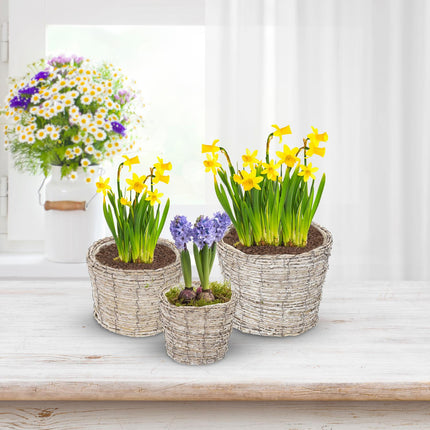 Round flower pot - set of 3