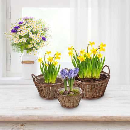 Pot de fleurs rond en bois - lot de 3